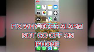 HOW TO FIX WHY DOES ALARM NOT GO OFF ON IPHONE 2024