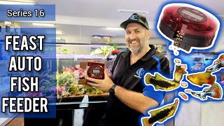 Series 16 Feast Automatic Fish Feeder User Guide & Set Up