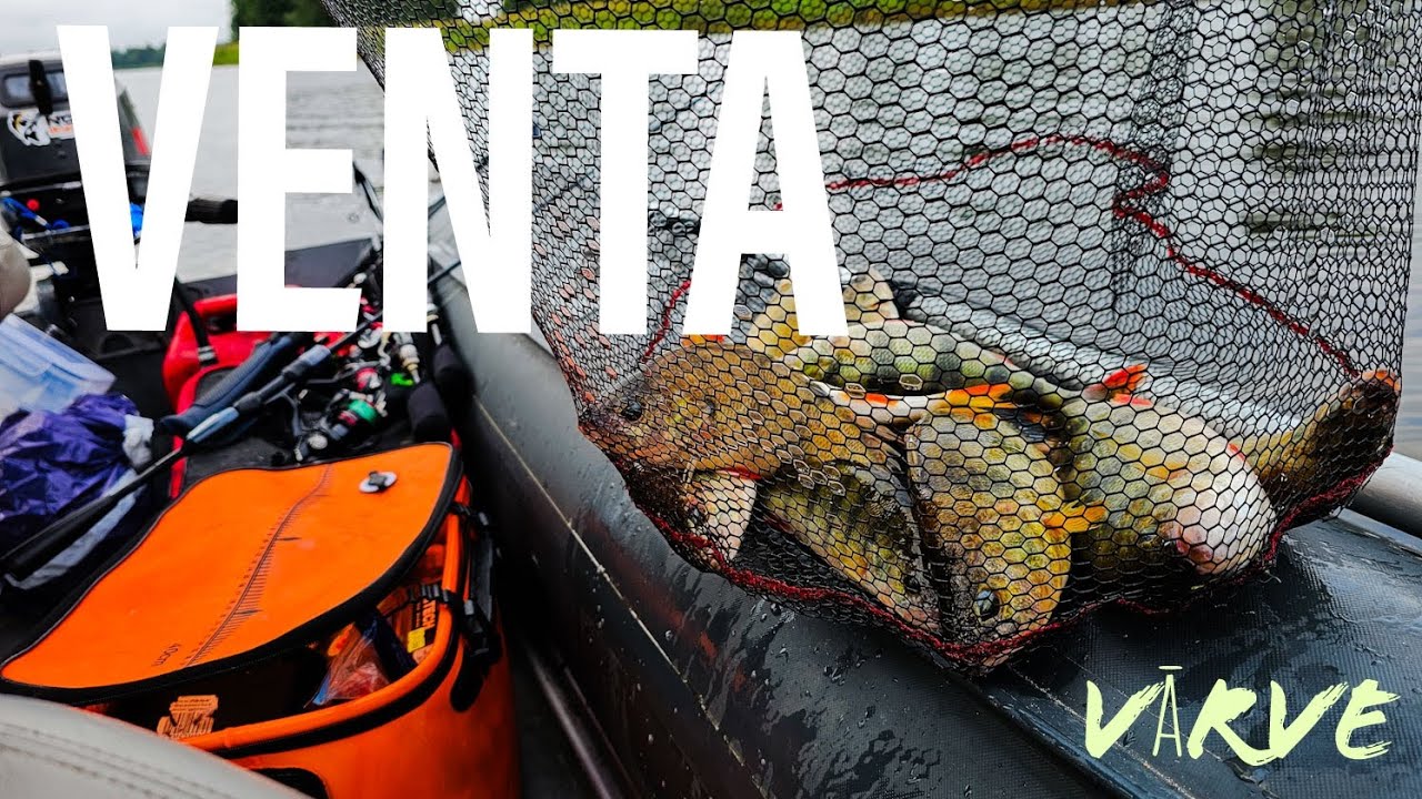 Venta, Vārve. Asari. 