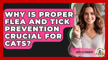 Why Is Proper Flea And Tick Prevention Crucial For Cats? - Happy Cat Handbook