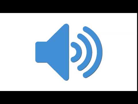 Sound Effect Flies Buzzing and Circling