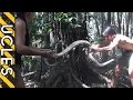 Python Catching with Andrew Ucles & Laura Zerra 