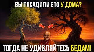 картинка: 7 Деревьев, Которые Притягивают Болезни и  Несчастья в Дом