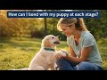 How To Bond with Puppy at each stage