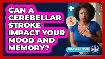 Can A Cerebellar Stroke Impact Your Mood And Memory? - Stroke Support Channel