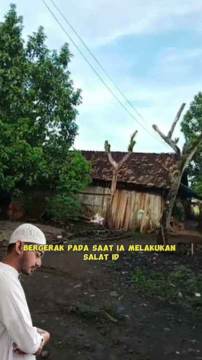 Pohon Tidak Bergerak Saat Sholat Ied, Cocokologi Atau Fenomena Khusus Sholat eid?