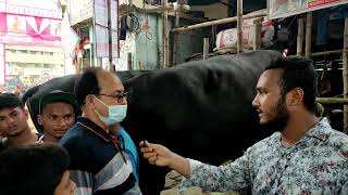 ৩০ লাখের যুবরাজ এখন ২০ লাখ !! Gabtoli Gorur Haat 2021 qurbani cow price in Bangladesh