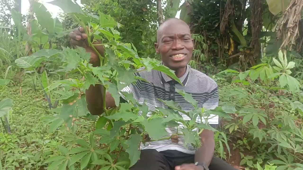 AMADUUDU GAAGANO;ABANTU BANGI BULIJJO BAGAMBUUZA!