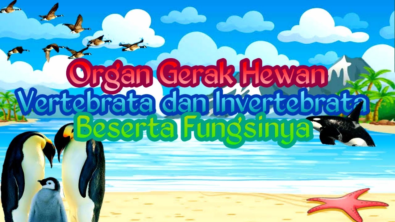  Organ  Gerak  Hewan  Vertebrata dan  Invertebrata Beserta 