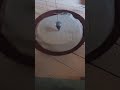 Hypnotic Sand Pendulum #06