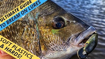 MASTERCLASS: Your Ultimate Guide To Catching More Bream On Lures — Soft & Hard! (Part 1)