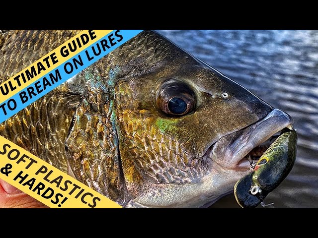 bluegill fishing with cane pole Un-Reel, Cane Pole Fishing