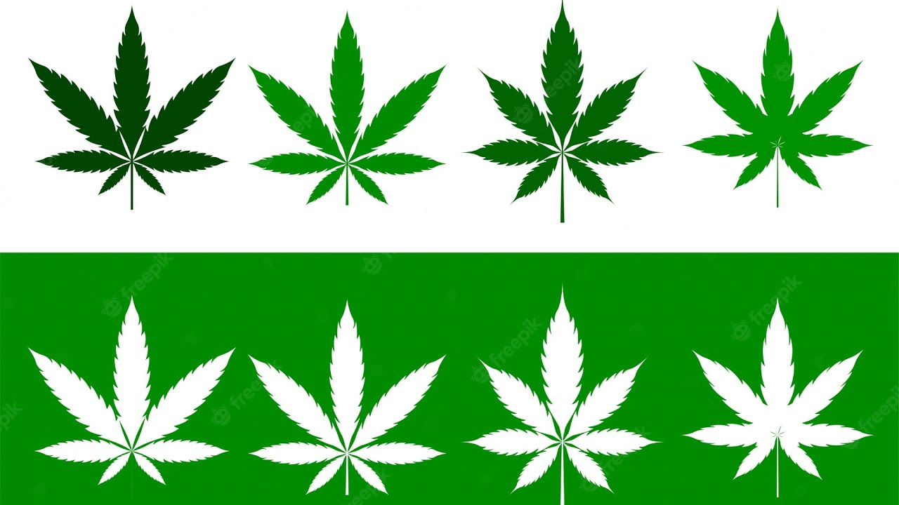 How Many Cannibas Dispensary’s are in Monroe Michigan