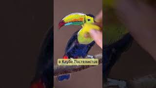 Нарисуем? #art #живопись #сухаяпастель #маслянаяпастель #творчество