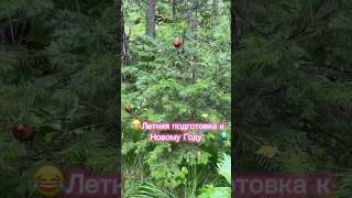 😂 Новый год по-алтайски🎄 Белокуриха🫶 Горный Алтай ❤️ #юмор  #sorts