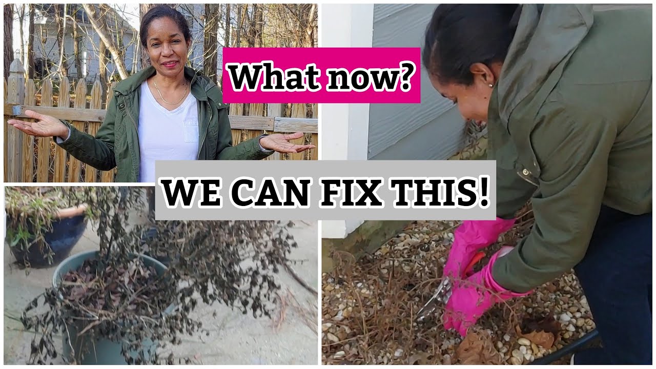 Garden Clean Up after the Winter Storm | #cleanhome23 - YouTube