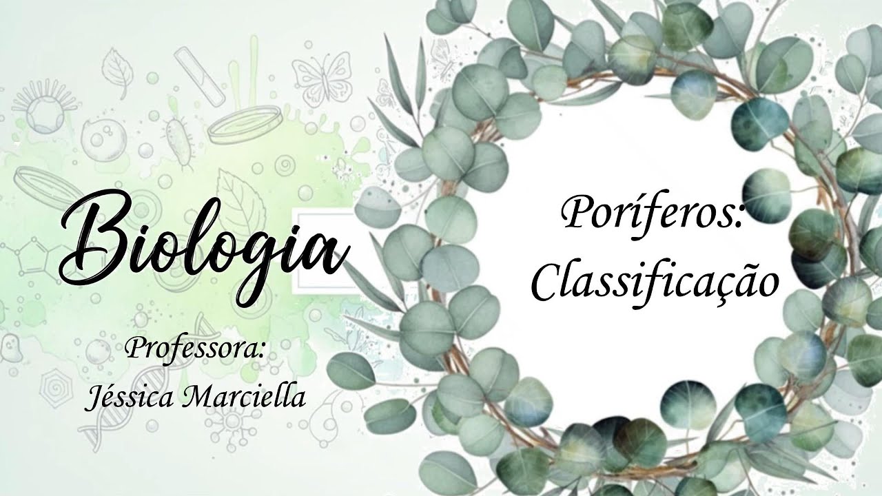 8.2.2 Poríferos: classificação