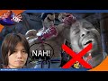 How SMASH PLAYERS reacted to KAZUYA BEING IN SMASH ULTIMATE!