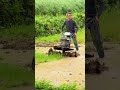cultivating rice fields technique using a small tractor - farming - agriculture #shorts