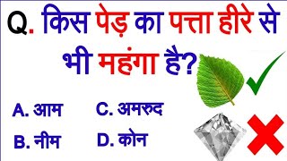 Gk Question in Hindi।Gk Question and answer Gk fact gkinhindi studyiqgkpoint gk