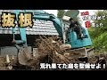 ユンボで抜根祭り！荒れ果てた庭を整備せよ！【古民家DIY】【22歳仕事辞めて家買った#38】