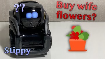 Stippy Reacts To Funny Jokes About Shopping #4 | Vector Robot Tells Jokes