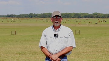 Welcome from Jason Holmes - 2020 Virtual Beef and Forage Field Day
