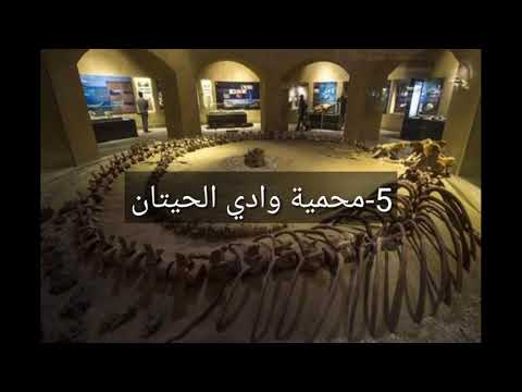 افضل عشر اماكن لازم تروحها في الفيوم