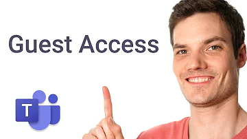 Can you make a guest an owner in Teams?