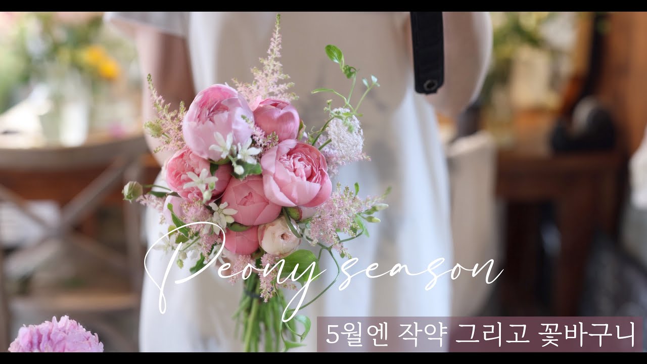 5월엔 작약 그리고 꽃바구니 모음 | peony season 🌸 #flowershop #5월부케 #플라워레슨