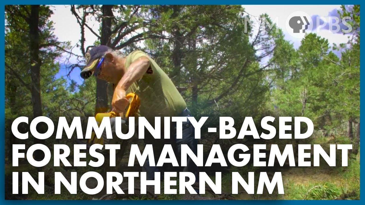 Community-Based Forest Management in Northern New Mexico | Our Land