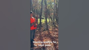 #music https://studio.youtube.com/channel/UC/collaboration/UCjD_HJlK53Gr-PoHUH-d0BQ #mrbeast