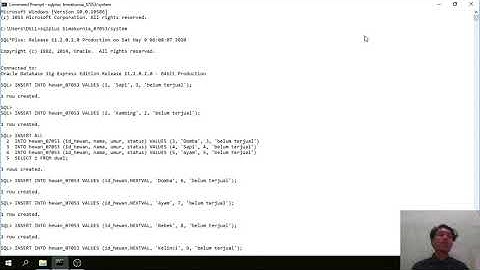 Video Demo Tugas Praktikum Basis Data Modul 2