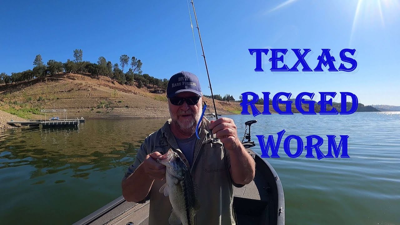 How to Fish a Texas Rigged Worm YouTube