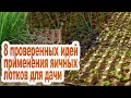 Лотки для яиц применение / 8 полезных идей для дачи