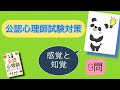 公認心理師　試験対策問題　【感覚・知覚】聞き流し ・やる気のない時・息抜き時間・隙間時間・寝る前にお勧め‼️Gルート　公認心理師試験　一発合格