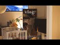 〈Morning vlog〉朝の時間を充実させて気分よく１日を過ごす｜お家好きの日常
