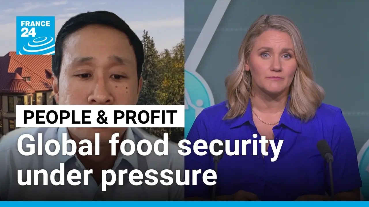 Food security under pressure from conflicts, extreme weather • FRANCE 24 English