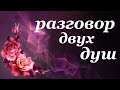 РАЗГОВОР ДВУХ ДУШ. Таро онлайн