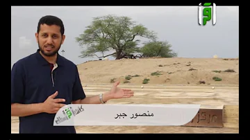 شجره الحياه Mp3