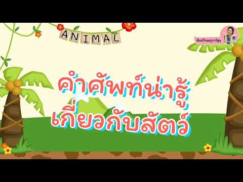 คำศัพท์น่ารู้เกี่ยวกับสัตว์-ห้องเรียนครูการ์ตูน