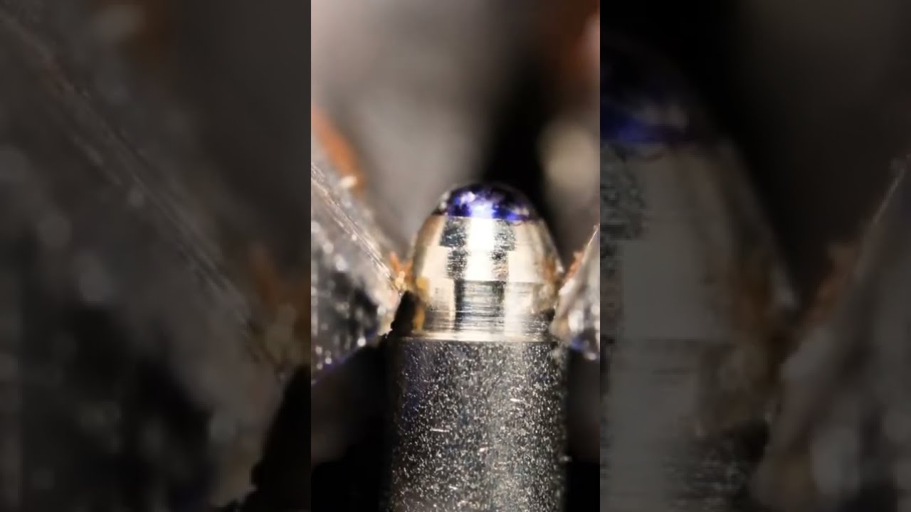 BITTING OFF A PEN Asmr Macro Closeup Satisfyingvideo