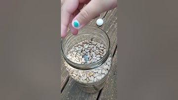 Experiment 1.1 Density in Nature  (Apologia General Science 3rd ed.)