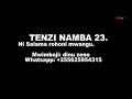 TENZI NAMBA 23 by dinuzeno