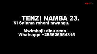 TENZI NAMBA 23 by dinuzeno