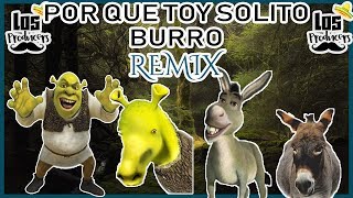 Por Que Toy Sólito Burro - Remix