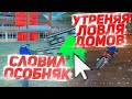 ЛОВЛЮ ДОМА УТРОМ НА ARIZONA RP СЛОВИЛ ОСОБНЯК GTA SAMP