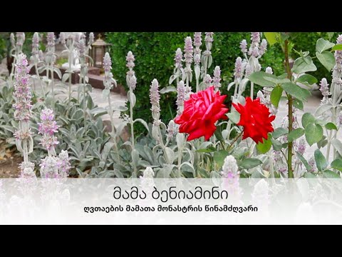 ყოველთა წმიდათა კვირა - მამა ბენიამინი (27.06.21 წ.)