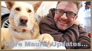 I know, more darn Mauler updates... with Kevin. by Doug Bug 1,070 views 1 year ago 13 minutes, 42 seconds