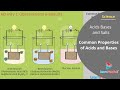 Acids and Bases Quiz